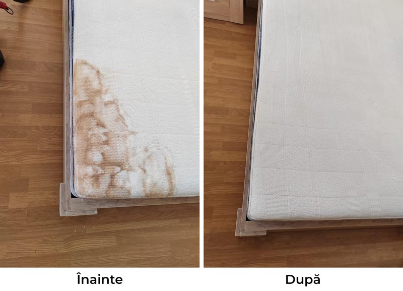 Rezultat curățare profesională canapea Bacău - apă murdară extrasă prin injecție-extracție